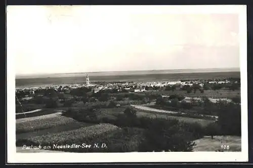 AK Purbach am Neusiedler-See, Blick über Felder auf Ort und See