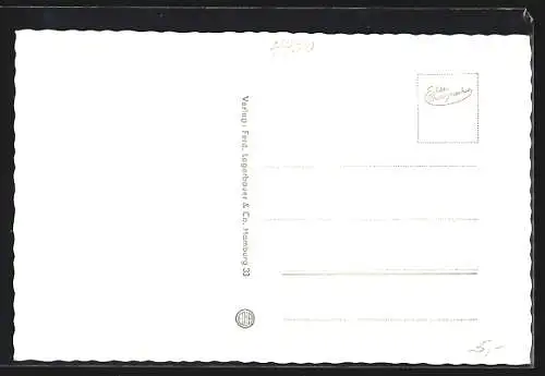 AK Lingen /Ems, Markt mit Rathaus