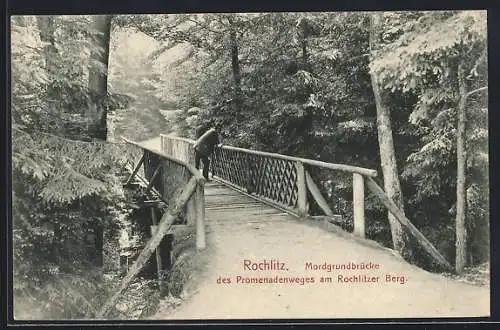 AK Rochlitz, Mordgrundbrücke, Promenadenweg am Rochlitzer Berg