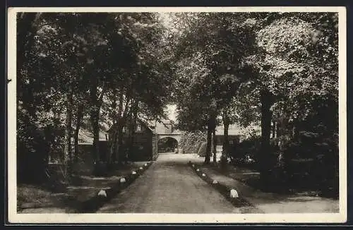 AK Tötensen /Bez. Hamburg, Weg zum Sanatorium Ginsterhof