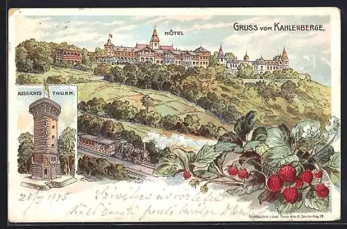 Lithographie Kahlenberg, Hôtel und Aussichtsturm