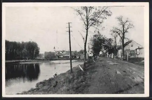 AK Gross-Enzersdorf, Probstdorf, Strasse am Ortseingang