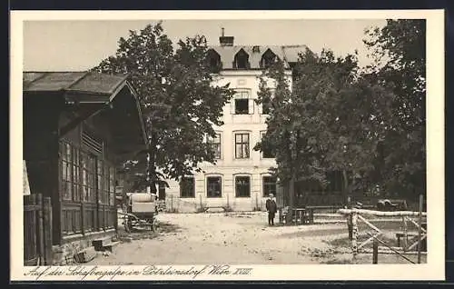 AK Wien-Pötzleinsdorf, Adolf Knorr's Hotel auf der Schafbergalpe