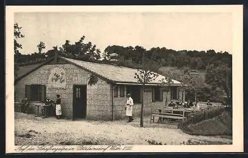 AK Wien-Pötzleinsdorf, Adolf Knorr`s Buschenschänke am Schafberg