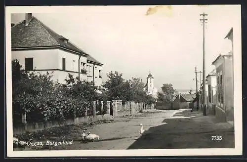 AK Oggau /Burgenland, Strassenpartie mit Blick zur Kirche