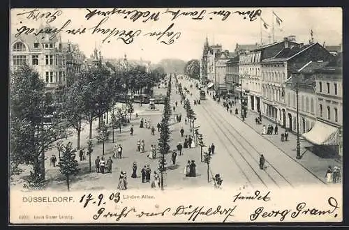 AK Düsseldorf, Linden Allee mit Strassenbahn und Geschäften aus der Vogelschau