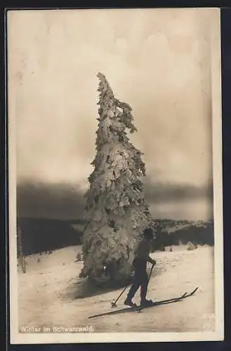 AK Feldberg /Schwarzwald, Skifahrer im Schnee