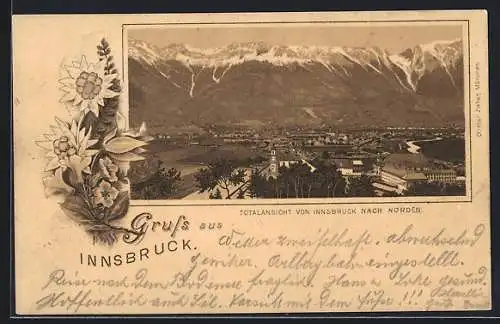 Lithographie Innsbruck, Totalansicht nach Norden, Edelweiss und Enzian