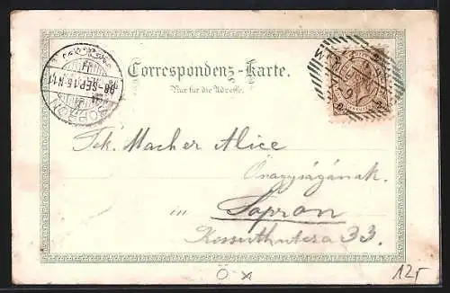 Lithographie Wr. Neustadt, Wienerstrasse, Hauptplatz und Realschule