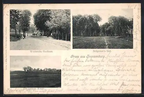 AK Franzenburg, Wolderich`s Gasthaus, Brügeman`s Hof, Die goldene Wiege