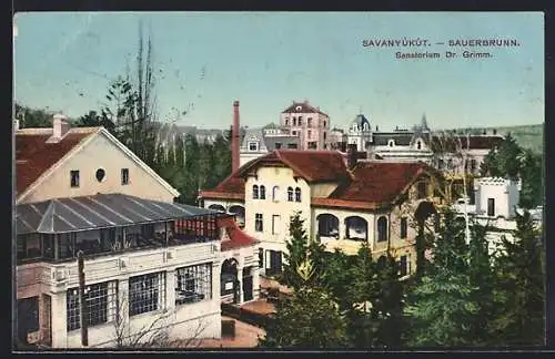 AK Sauerbrunn, Sanatorium Dr. Grimm