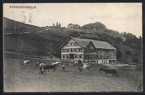 AK Bregenz, Pfänderdohle, Gasthaus und grasende Kühe