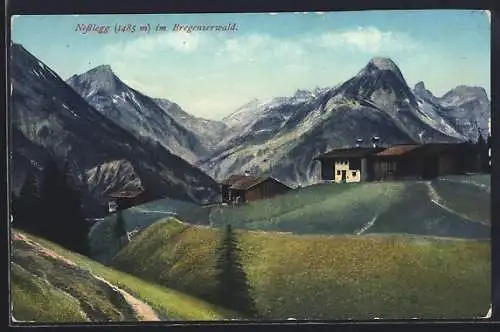 AK Nesslegg im Bregenzerwald, Hütten in den Bergen mit Alpenblick