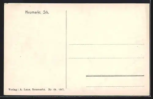 AK Neumarkt /Stk., Ortsansicht aus der Vogelschau