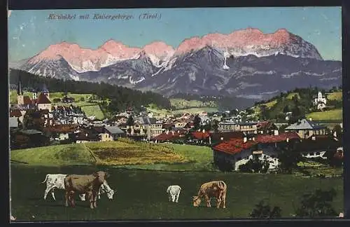 AK Kitzbühel, Totalansicht mit Kaisergebirge und Kühen