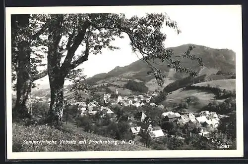 AK Ybbsitz /N.-Oe., Ortsansicht mit dem Prochenberg