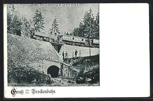 AK Brockenbahn im Thumkuhlenthal