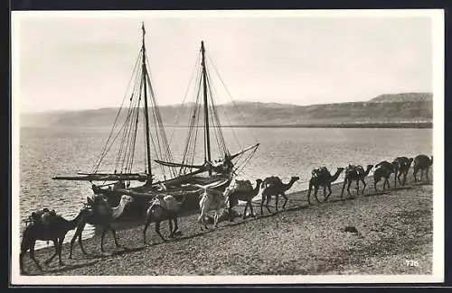 AK Kamelkarawane am Toten Meer, Segelschiff