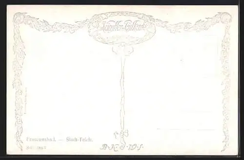 Künstler-AK Brüder Kohn (B.K.W.I): Franzensbad, Stadt-Teich