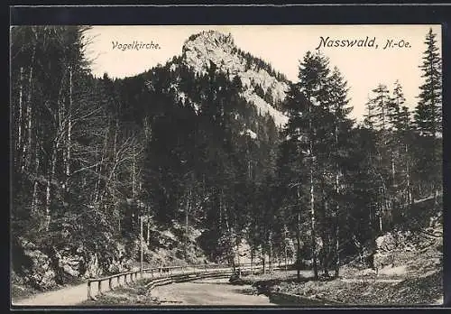 AK Nasswald, Strassenpartie mit Vogelkirche