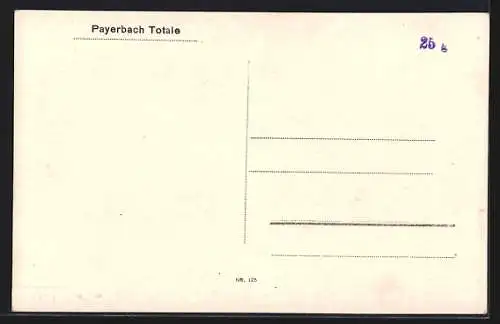 AK Payerbach, Totalansicht mit Umgebung aus der Vogelschau