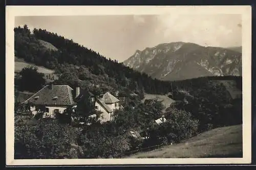 AK Payerbach, Gasthaus-Pension-Meierei Hahndlhof Schmidt am Kreuzberg