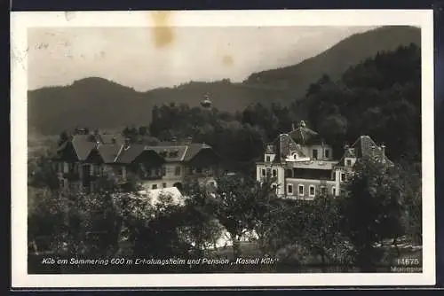 AK Küb am Semmering, Erholungsheim-Pension Kastell Küb aus der Vogelschau