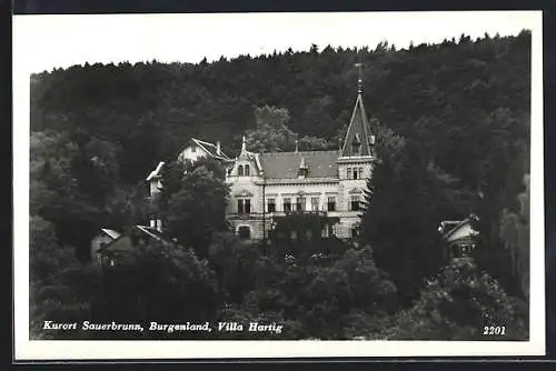 AK Sauerbrunn /Burgenland, Villa Hartig