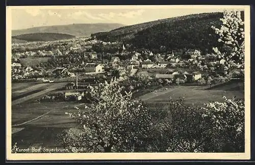 AK Bad Sauerbrunn /Bgld., Ortsansicht im Frühling