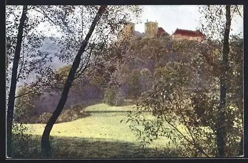 AK Lockenhaus, Blick zur Burg Lockenhaus