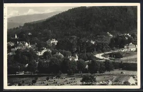 AK Bad Sauerbrunn, Teilansicht mit Wald