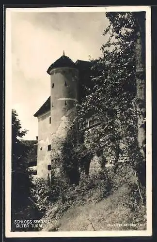 AK Leibnitz, Schloss Seggau mit altem Turm