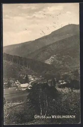 AK Weidlingbach, Ortspartie im Gebirge