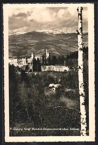 AK Wolfsberg, Graf Henckel-Donnersmarck`sches Schloss