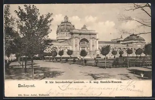 AK Budapest, K. ung. Handels-Museum mit Anlagen