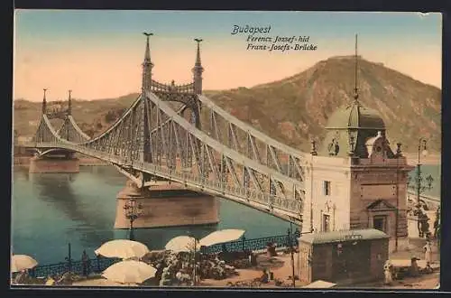 AK Budapest, Franz-Josefs-Brücke