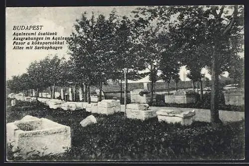 AK Budapest, Ausgrabungen im Aquincum, Allee mit Sarkophagen