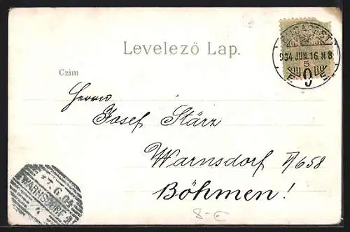 Lithographie Budapest, Josefs-Ring, Strassenansicht