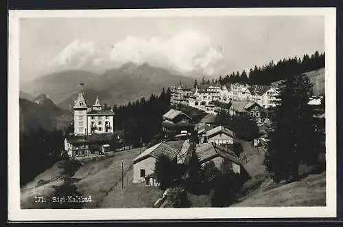 AK Rigi-Kaltbad, Hotel Bellevue mit Blick ins Tal