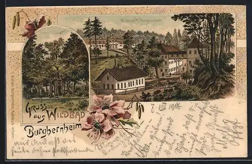 Lithographie Wildbad b. Burgbernheim, Teufels Häuschen, Ortspartie