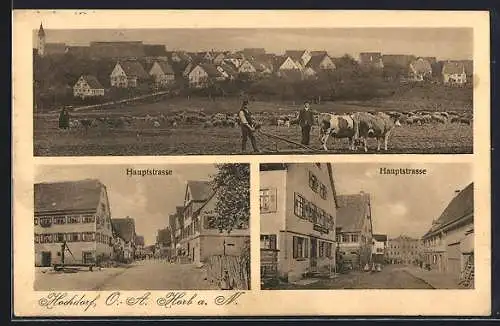 AK Hochdorf / Horb, Ortsansicht mit Schafherde & Kühe, Hauptstrasse