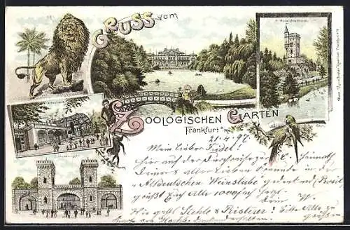 Lithographie Frankfurt a. Main, Zoologischer Garten, Affenhaus, Bärenzwinger, Aussichtsturm