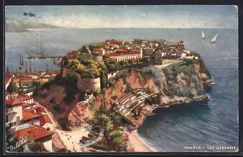 AK Monaco, Vue Générale