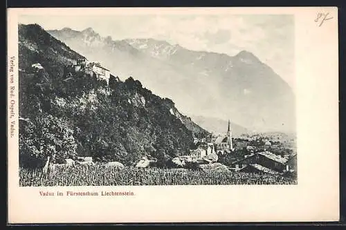 AK Vaduz, Ortsansicht mit dem Schloss