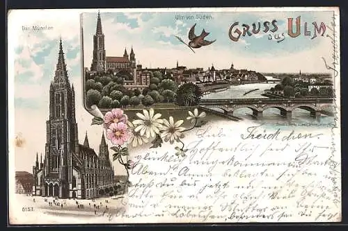 Lithographie Ulm / Donau, Münster, Ortsansicht von Süden gesehen