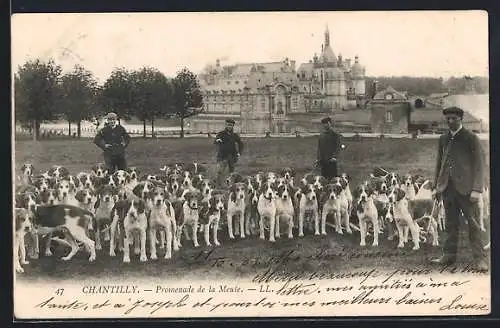 AK Chantilly, Promenade de la Meute, Jagdhunde vor Schloss