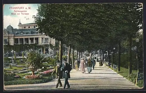 AK Frankfurt-Westend, Palmengarten, Allee zur Terrasse