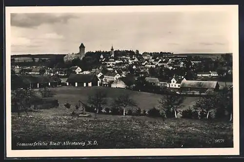 AK Allentsteig, Ortsansicht vom Hang aus mit Blick zum Schloss Allentsteig u. der Pfarrkirche hl. Ulrich