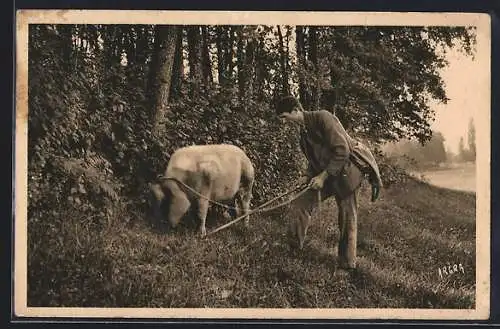 AK Perigord, Le chercheur de truffes, Trüffelschwein sucht Trüffel