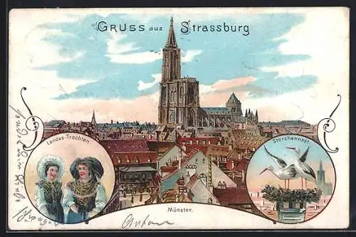 Lithographie Strassburg, Landes-Trachten, Münster, Storchennest